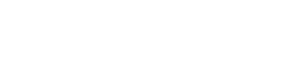 Bonus inženiring